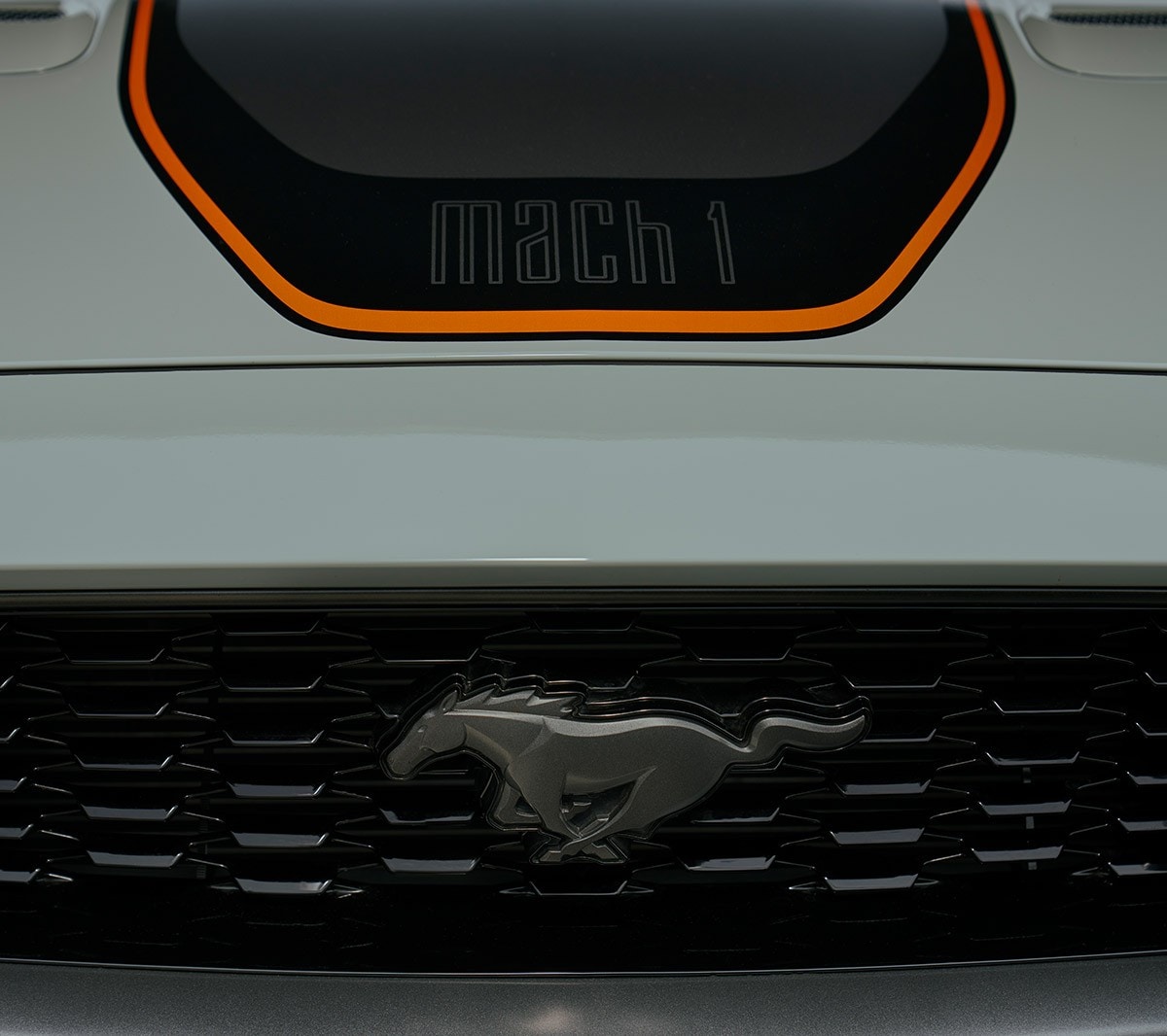 Ford Mustang Mach 1 nærbillede af mærket gitter